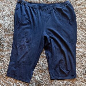 Liz & Me Women's Navy Blue Pants